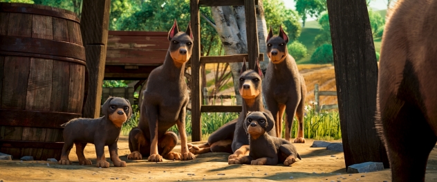 FARMA ZV&Iacute;ŘAT